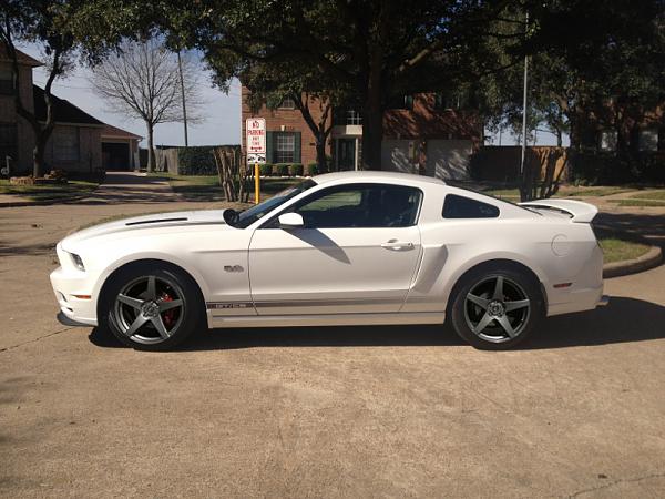 2010-2014 Ford Mustang S-197 Gen II Lets see your latest Pics PHOTO GALLERY-image-2967105600-copy.jpg