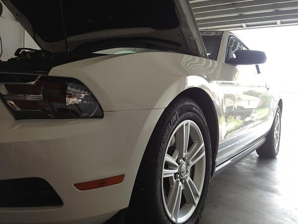 2010-2014 Ford Mustang S-197 Gen II Lets see your latest Pics PHOTO GALLERY-image-3000187243.jpg