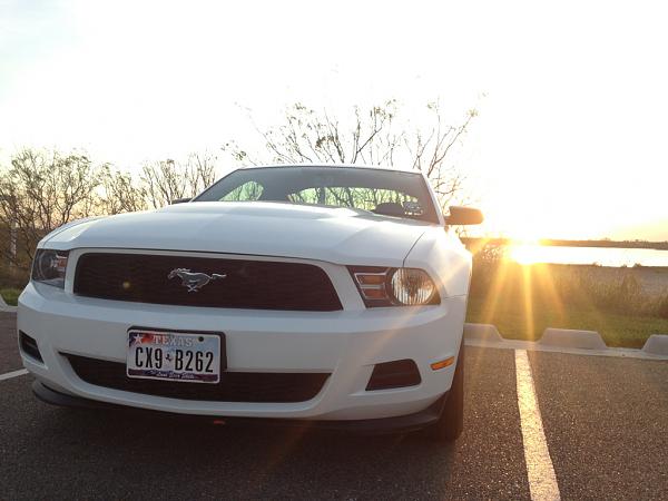 2010-2014 Ford Mustang S-197 Gen II Lets see your latest Pics PHOTO GALLERY-image-3170724463.jpg