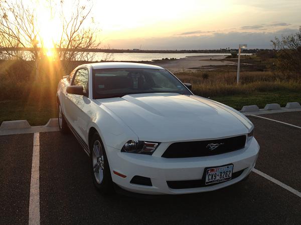 2010-2014 Ford Mustang S-197 Gen II Lets see your latest Pics PHOTO GALLERY-image-4287126579.jpg