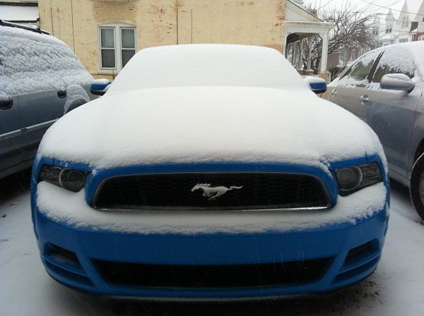 2010-2014 Ford Mustang S-197 Gen II Lets see your latest Pics PHOTO GALLERY-photo-31-.jpg