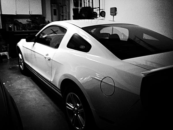 2010-2014 Ford Mustang S-197 Gen II Lets see your latest Pics PHOTO GALLERY-image-3423924695.jpg