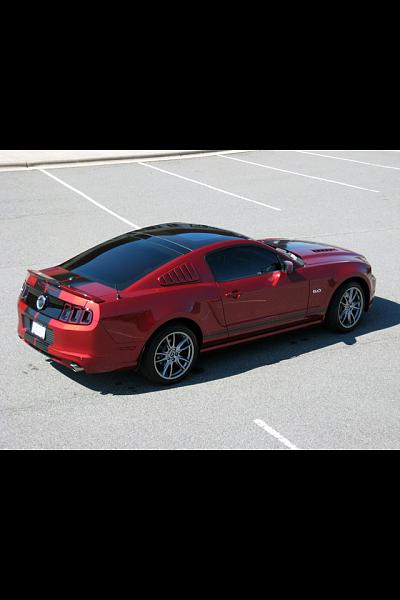 2010-2014 Ford Mustang S-197 Gen II Lets see your latest Pics PHOTO GALLERY-image-2139169868.jpg