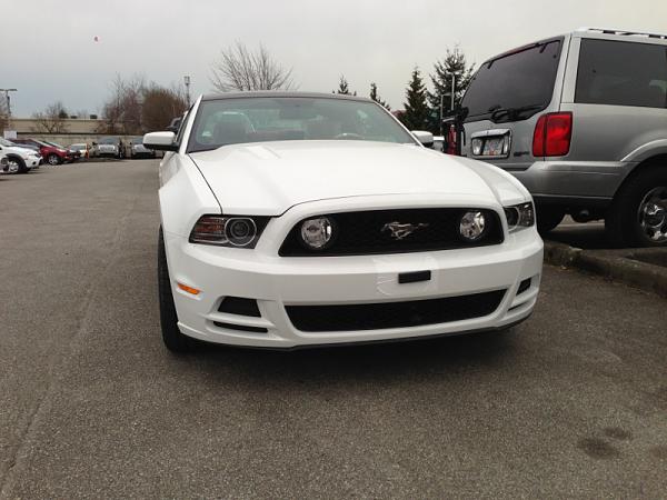 2014 GT Canadian version fogs-image-838709541.jpg