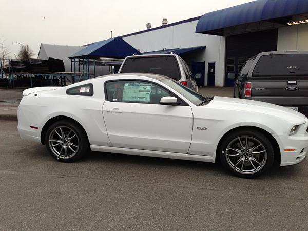 2014 GT Canadian version fogs-image-3123797276.jpg