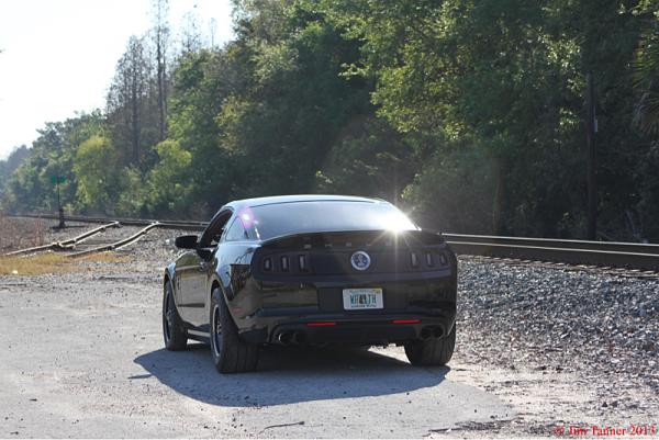 2010-2014 Ford Mustang S-197 Gen II Lets see your latest Pics PHOTO GALLERY-image-1976877166.jpg