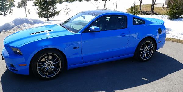 2010-2014 Ford Mustang S-197 Gen II Lets see your latest Pics PHOTO GALLERY-p1020177.jpg