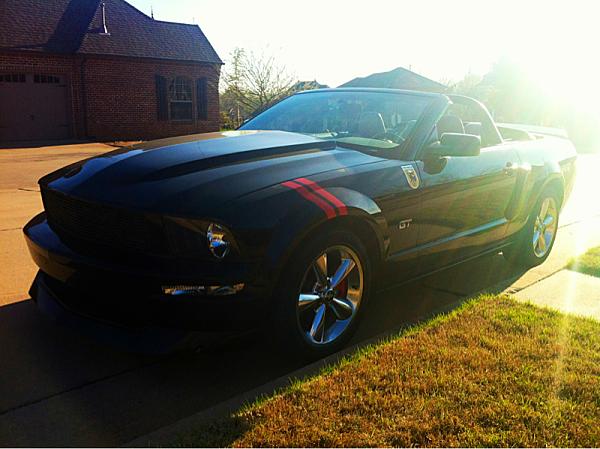 Why we Mustang-lovers LOVE Spring...-image-1837076198.jpg