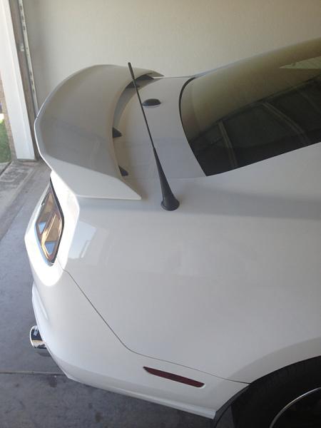 My newest additions to my 13' 5.0-image-833086372.jpg