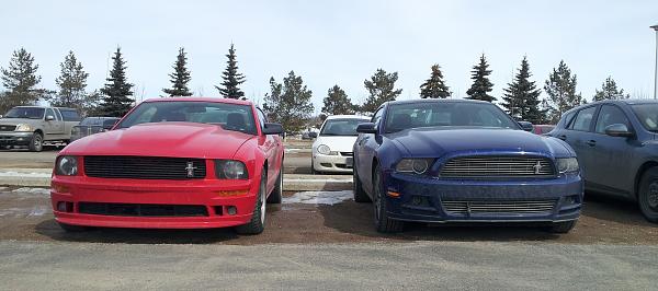 2010-2014 Ford Mustang S-197 Gen II Lets see your latest Pics PHOTO GALLERY-2013-04-15-12.31.07.jpg