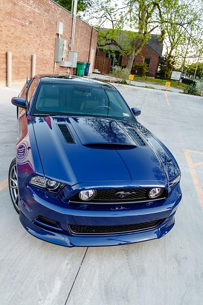 2014 Ordered/Built/Delivered Thread-mustang-hood.jpg