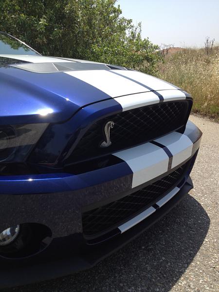 2010-2014 Ford Mustang S-197 Gen II Lets see your latest Pics PHOTO GALLERY-image-3799680777.jpg