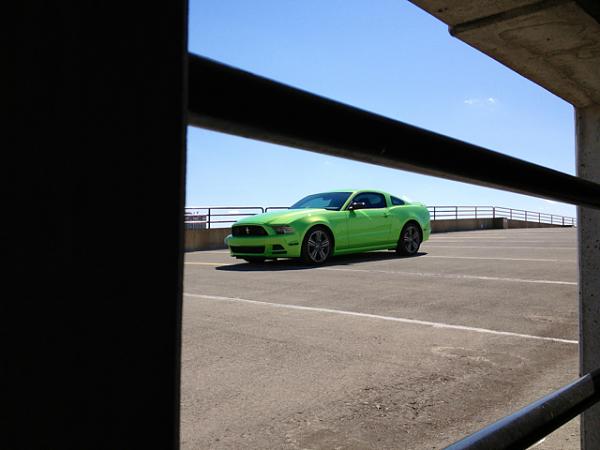 2010-2014 Ford Mustang S-197 Gen II Lets see your latest Pics PHOTO GALLERY-image-4053789318.jpg