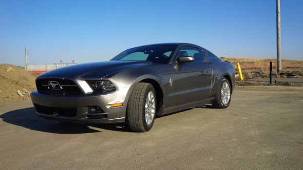 Name:  Day+1-1.jpg
Views: 449
Size:  45.3 KB