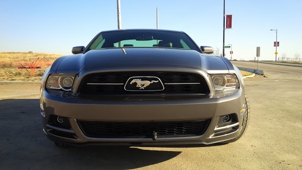 Name:  Day+1-2.jpg
Views: 502
Size:  48.0 KB