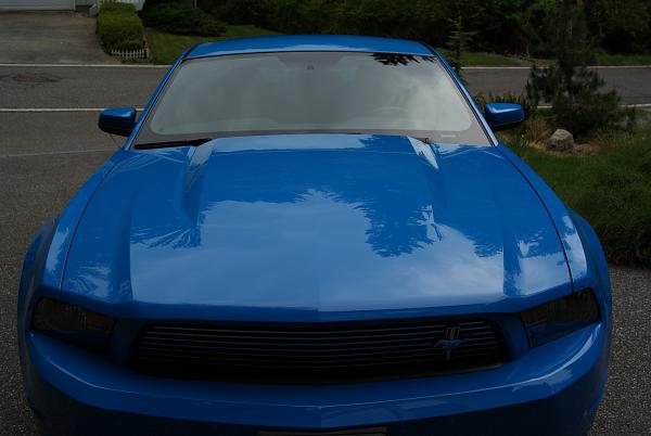 2010-2014 Ford Mustang S-197 Gen II Lets see your latest Pics PHOTO GALLERY-dsc07547.jpg