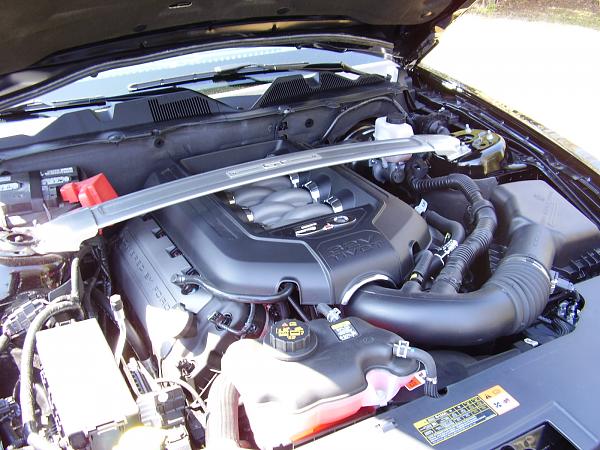 2014 Mustang GT Engine Bay Pics-p3170019.jpg