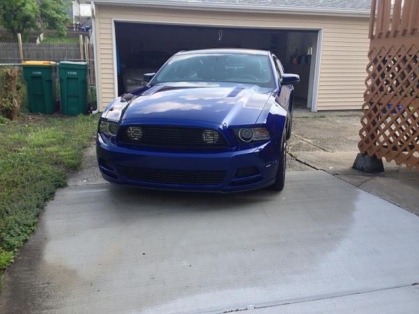 2010-2014 Ford Mustang S-197 Gen II Lets see your latest Pics PHOTO GALLERY-image-2009943258.jpg