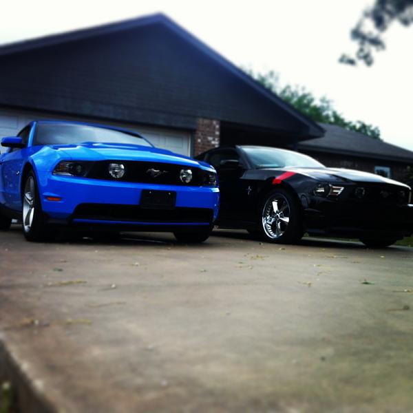 2010-2014 Ford Mustang S-197 Gen II Lets see your latest Pics PHOTO GALLERY-image-2273490769.jpg
