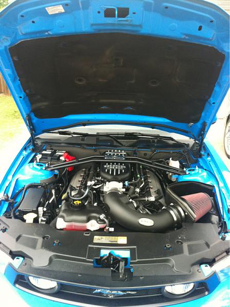 2010-2014 Ford Mustang S-197 Gen II Lets see your latest Pics PHOTO GALLERY-image-3081473993.jpg