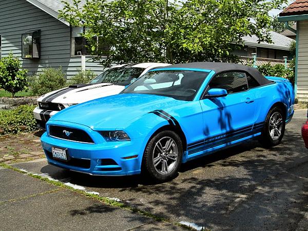 2010-2014 Ford Mustang S-197 Gen II Lets see your latest Pics PHOTO GALLERY-rehashmarks.jpg