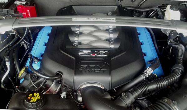 2010-2014 Ford Mustang S-197 Gen II Lets see your latest Pics PHOTO GALLERY-coils-front.jpg