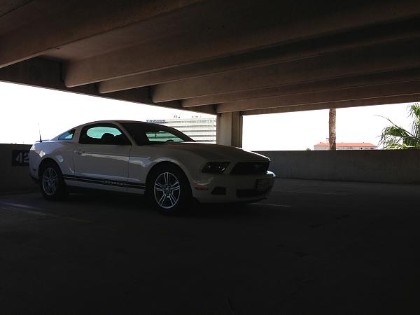 2010-2014 Ford Mustang S-197 Gen II Lets see your latest Pics PHOTO GALLERY-image-2789545924.jpg