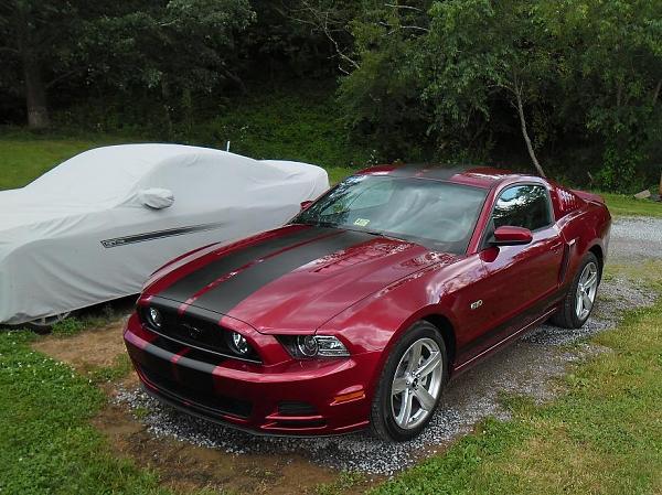 2010-2014 Ford Mustang S-197 Gen II Lets see your latest Pics PHOTO GALLERY-sam_0133.jpg