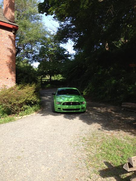 2010-2014 Ford Mustang S-197 Gen II Lets see your latest Pics PHOTO GALLERY-image-3159633637.jpg