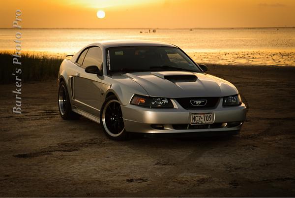 2010-2014 Ford Mustang S-197 Gen II Lets see your latest Pics PHOTO GALLERY-image-2434318967.jpg