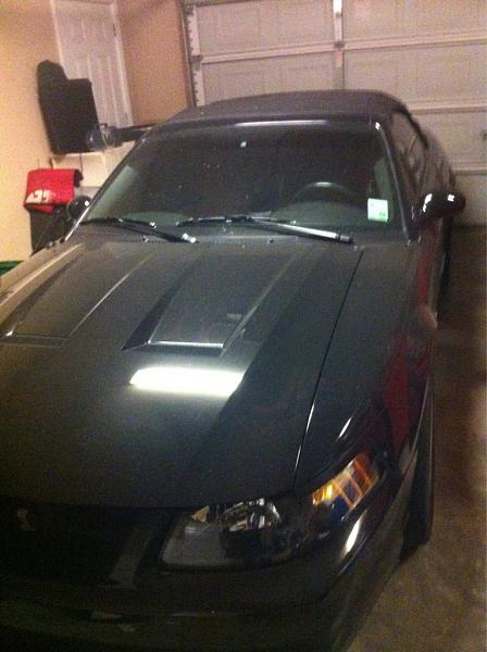 2010-2014 Ford Mustang S-197 Gen II Lets see your latest Pics PHOTO GALLERY-image-989551952.jpg