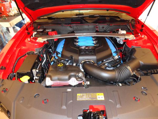 ~ Show Off your Engine Bay PIC-dsc00002.jpg