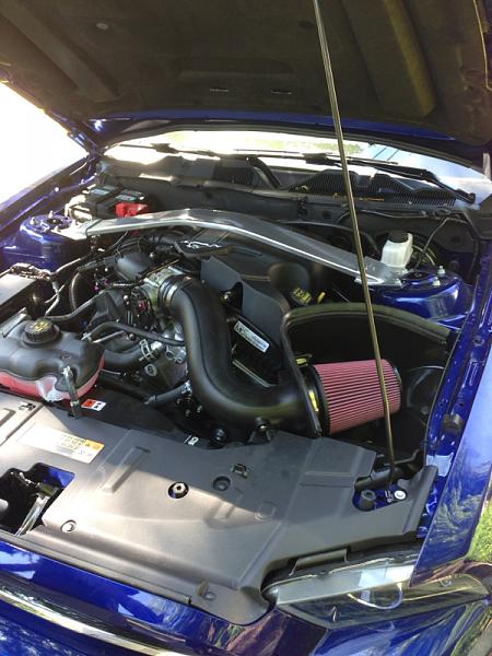 ~ Show Off your Engine Bay PIC-image-1146855979.jpg