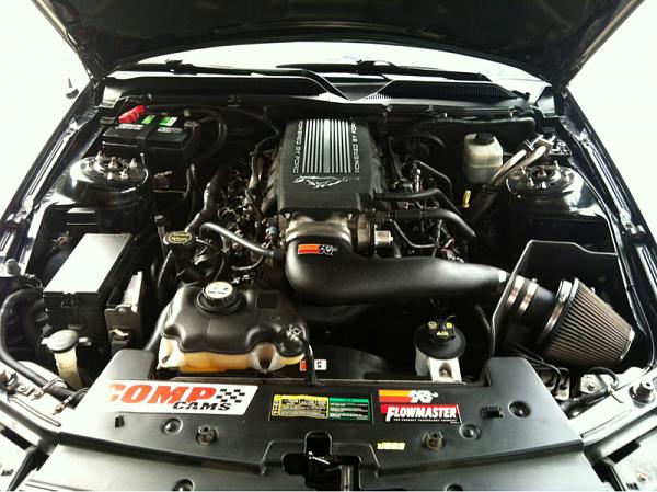 ~ Show Off your Engine Bay PIC-image-1763448439.jpg