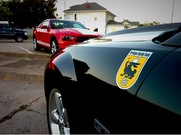 2010-2014 Ford Mustang S-197 Gen II Lets see your latest Pics PHOTO GALLERY-image-3446121925.jpg