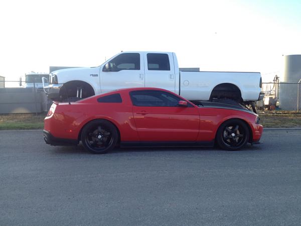 2010-2014 Ford Mustang S-197 Gen II Lets see your latest Pics PHOTO GALLERY-image-2939060896.jpg