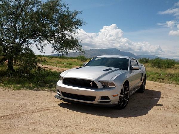 2010-2014 Ford Mustang S-197 Gen II Lets see your latest Pics PHOTO GALLERY-stang.jpg