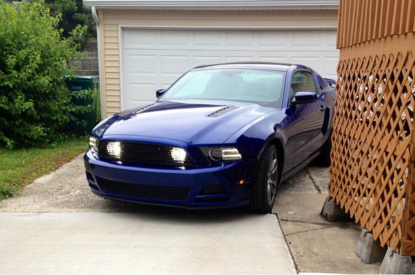 2010-2014 Ford Mustang S-197 Gen II Lets see your latest Pics PHOTO GALLERY-image-3660280353.jpg