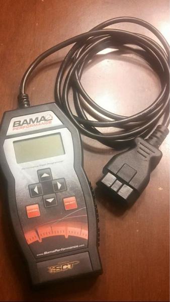 Some Time with BAMA-image-1487589555.jpg