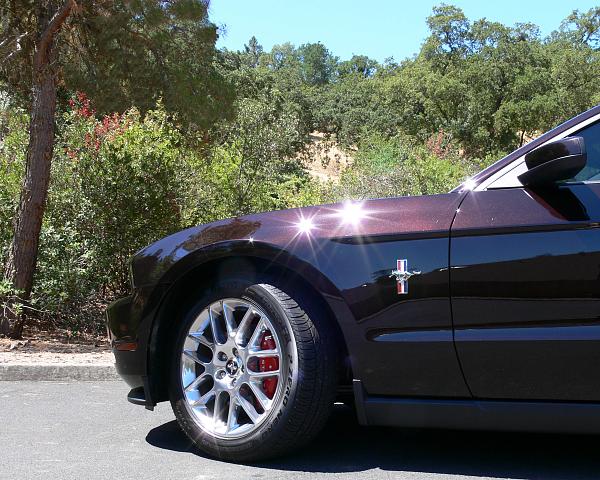 2010-2014 Ford Mustang S-197 Gen II Lets see your latest Pics PHOTO GALLERY-fender-2.jpg