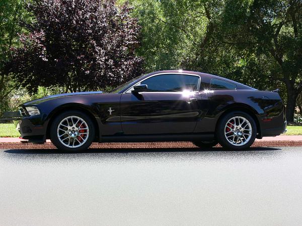 2010-2014 Ford Mustang S-197 Gen II Lets see your latest Pics PHOTO GALLERY-side-shot.jpg