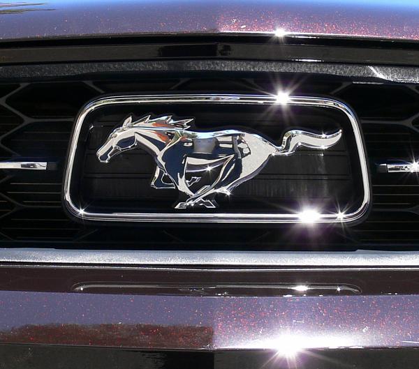 2010-2014 Ford Mustang S-197 Gen II Lets see your latest Pics PHOTO GALLERY-grill.jpg