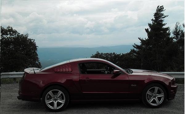 2010-2014 Ford Mustang S-197 Gen II Lets see your latest Pics PHOTO GALLERY-sam_01580000.jpg