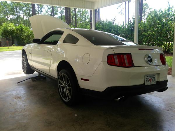 2010-2014 Ford Mustang S-197 Gen II Lets see your latest Pics PHOTO GALLERY-image-1817145648.jpg