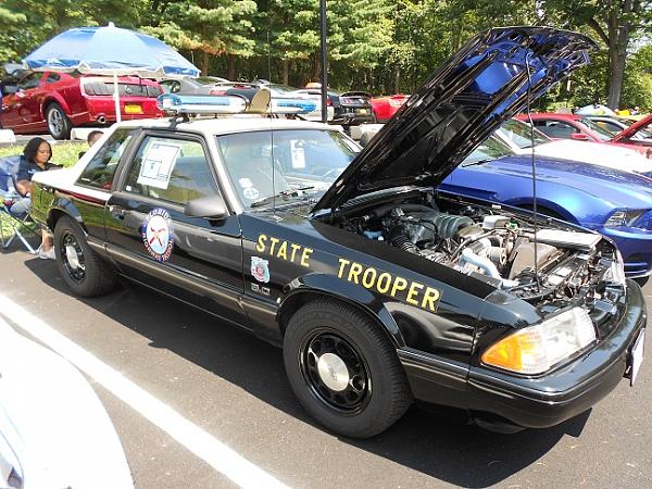 My Video of the American Muscle Car Show!-am8.jpg