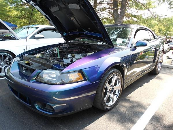 My Video of the American Muscle Car Show!-am14.jpg