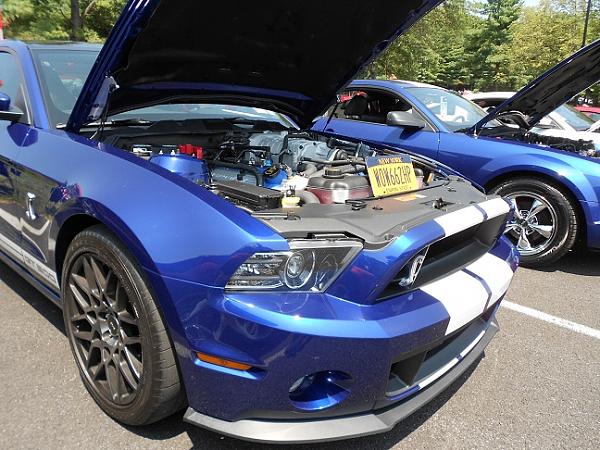My Video of the American Muscle Car Show!-am41.jpg