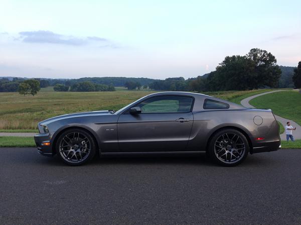 2010-2014 Ford Mustang S-197 Gen II Lets see your latest Pics PHOTO GALLERY-image-3664932289.jpg