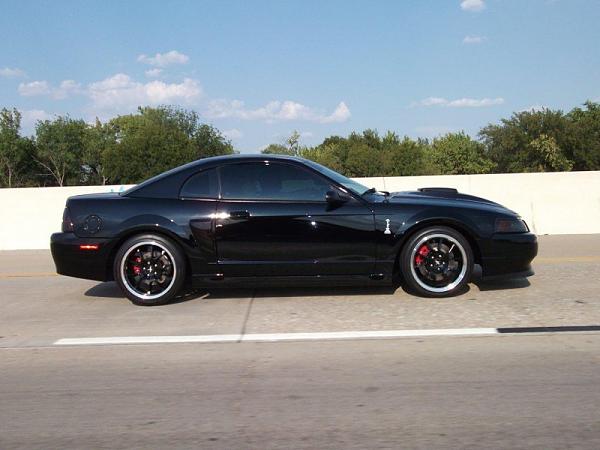 2010-2014 Ford Mustang S-197 Gen II Lets see your latest Pics PHOTO GALLERY-image-4074418910.jpg