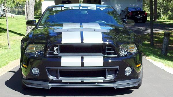 2010-2014 Ford Mustang S-197 Gen II Lets see your latest Pics PHOTO GALLERY-stripe-2.jpg